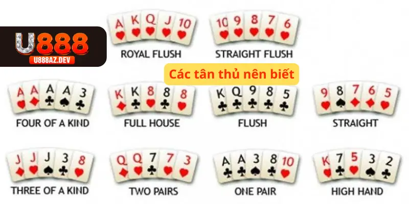 Thứ hạng bài Poker mà các cược thủ nên biết